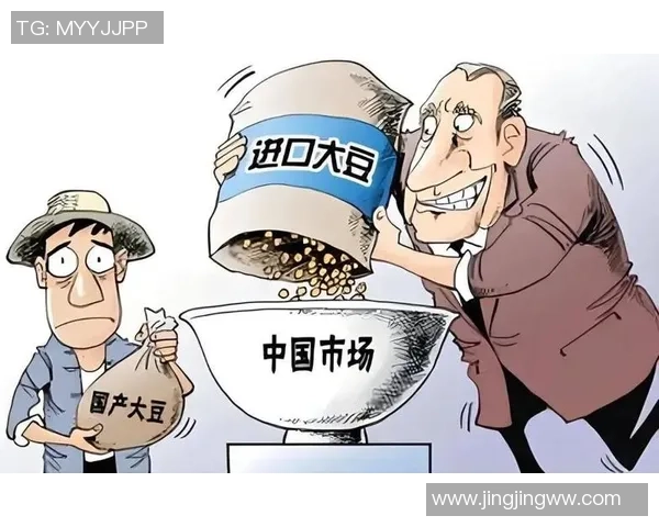 全球粮食安全危机加剧亟需国际合作应对挑战与机遇 全球粮食安全危机加剧亟需国际合作应对挑战与机遇